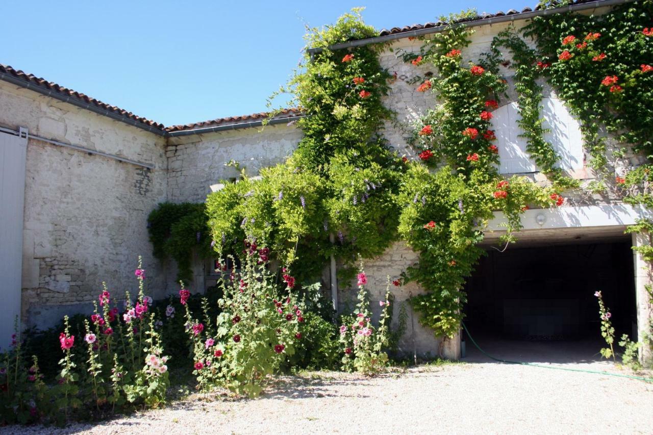 La Ferme Fortin Gensac-la-Pallue Exteriér fotografie